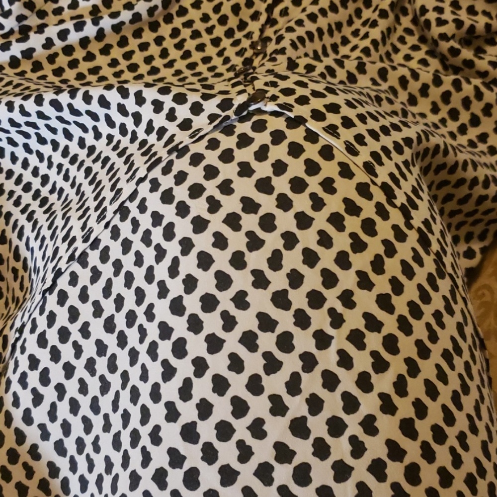 Clothes - Picture 4 of 4